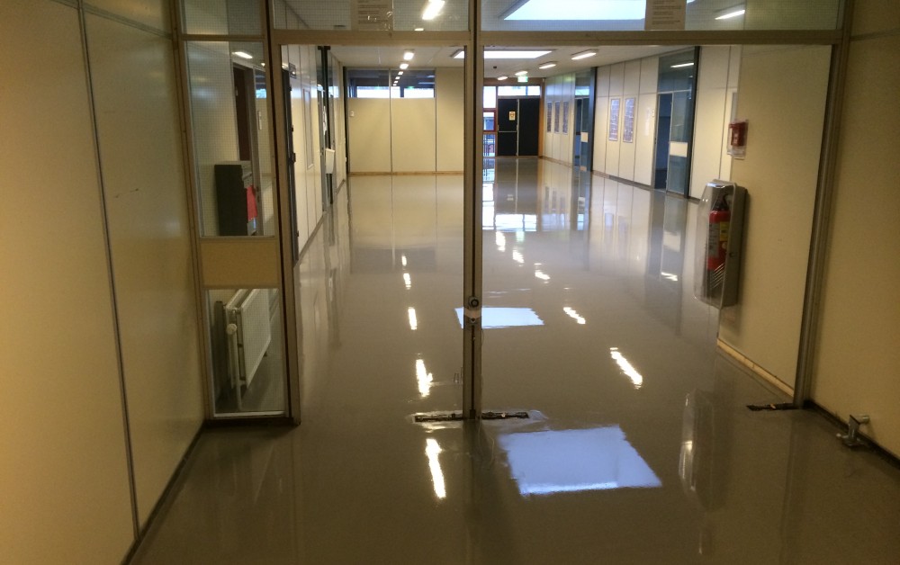 Sneldrogende egalisatie Sneldrogende egalisatie